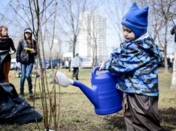 А хочешь знать, почему на улицах грязно, ямы на дорогах и кругом бардак?