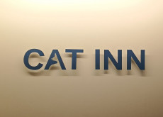 Зоогостиница для кошек Cat Inn