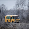 Десять детей пострадали в ДТП со школьным автобусом