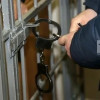 Трое россиян арестованы за попытку убийства жены одного из них под видом ограбления