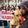 Предложили четко определить случаи, в которых можно убивать безнадзорных животных