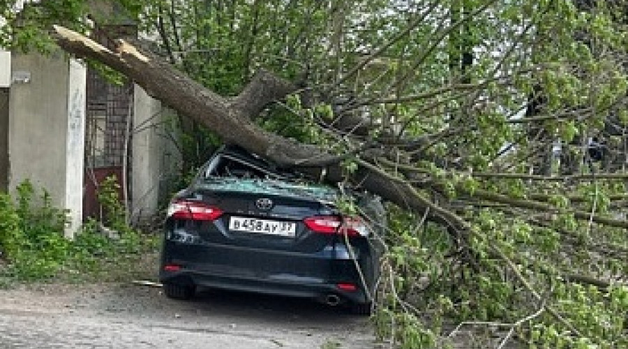 В Иванове автомобиль Тойота раздавило дерево