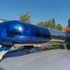 В Подмосковном парке найдены тела мужчины и женщины