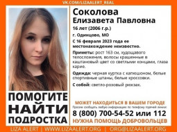 В городе Одинцово Московской области пропала 16-летняя девочка-подросток