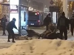 Лошадь убило током в центре Москвы