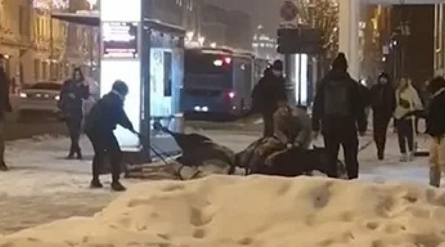 Лошадь убило током в центре Москвы