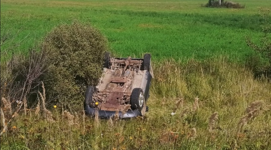 22 августа в области зарегистрировано два ДТП с пострадавшими