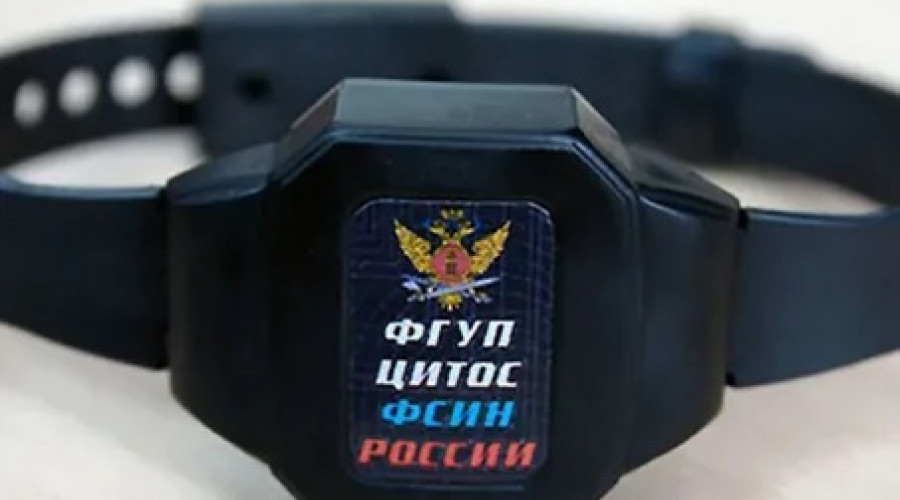 Женщина надела электронный браслет на кота и сбежала из-под ареста